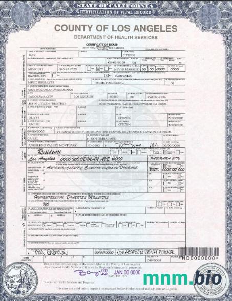 USA county of Los Angeles śmierć certyfikat szablon w formacie PSD